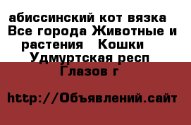 абиссинский кот вязка - Все города Животные и растения » Кошки   . Удмуртская респ.,Глазов г.